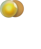 Soczewka Oakley Prizm 24K Polarized | o-shop.com - Autoryzowany dealer marki Oakley