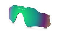 Prizm Shallow Water Polarized